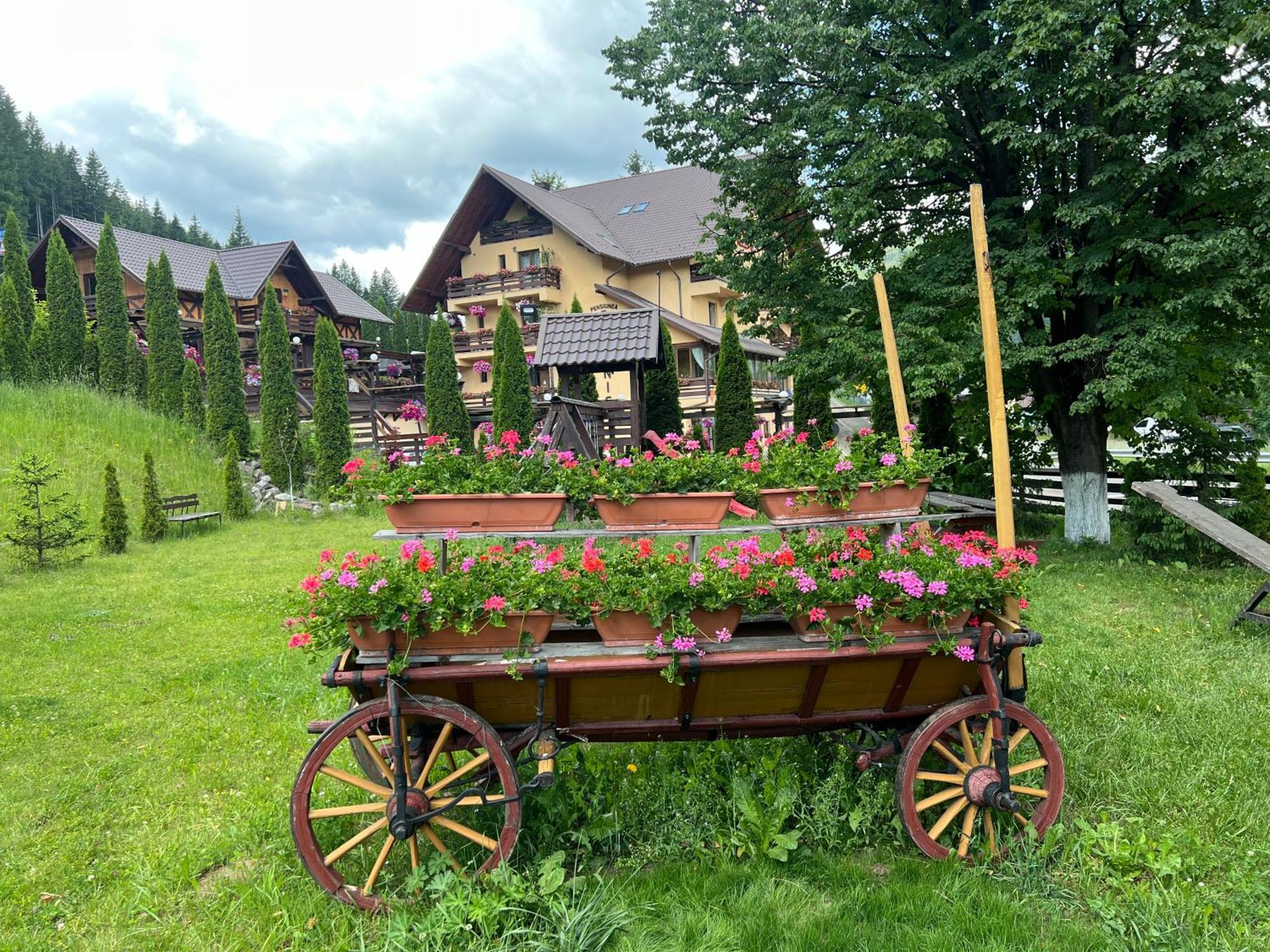 Pensiunea Vranis Sadova  Exterior foto